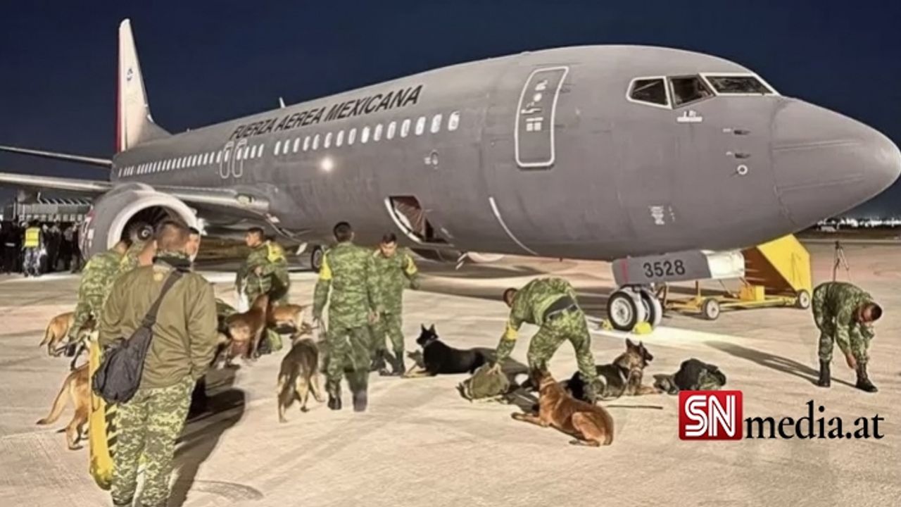 Meksika, meşhur arama kurtarma köpeklerini Türkiye'ye yolluyor