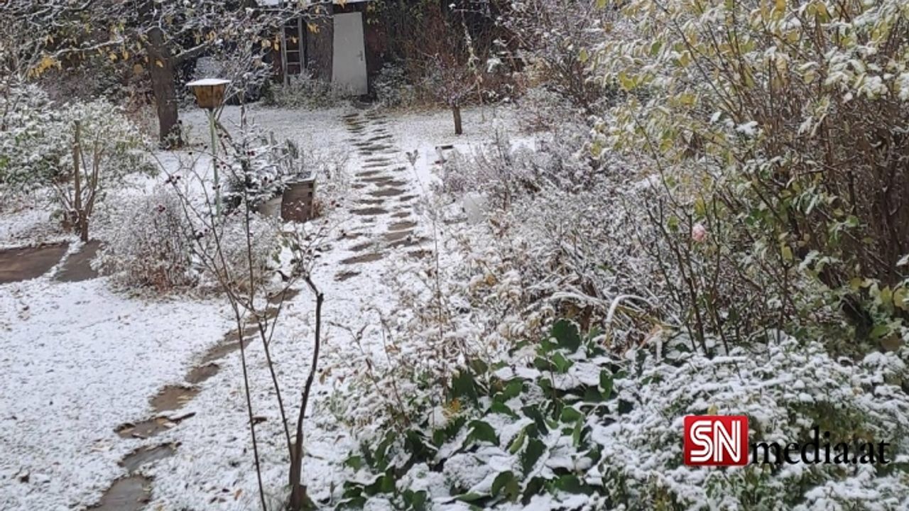 Viyana'da yoğun kar yağışı bekleniyor