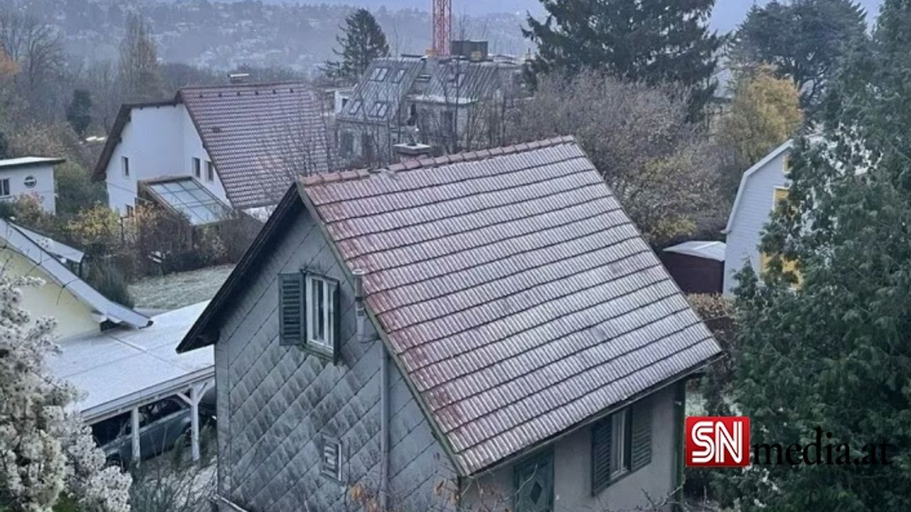 Viyana'ya ilk kar taneleri düştü