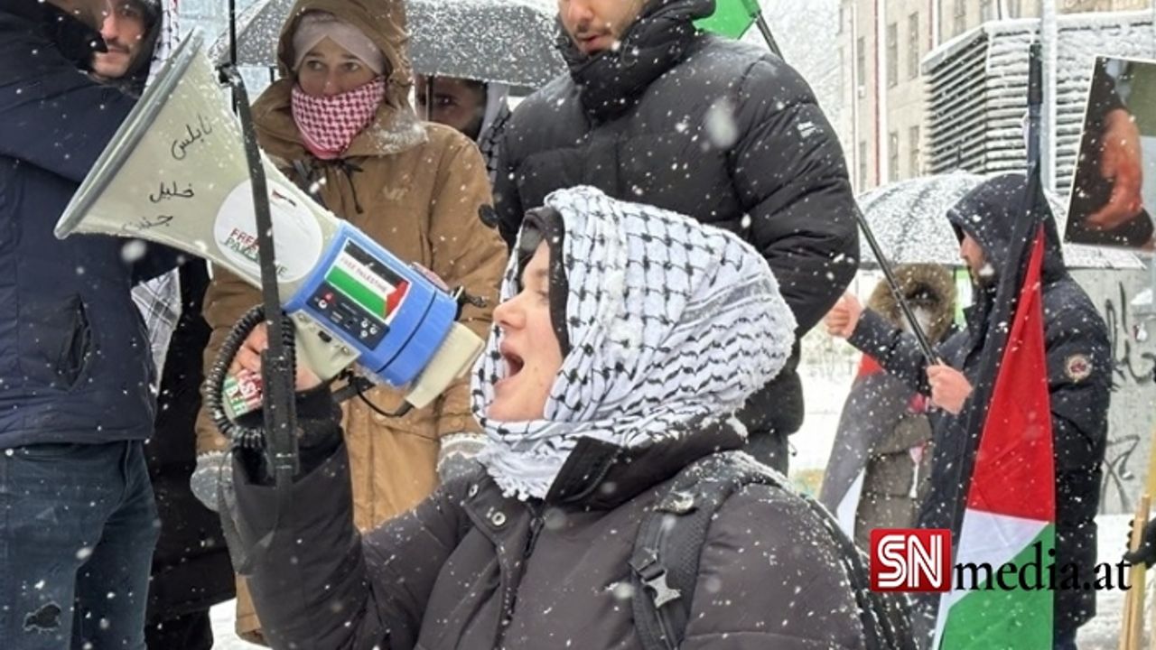 Viyana'da yoğun kar yağışı altında Filistin'e destek gösterisi