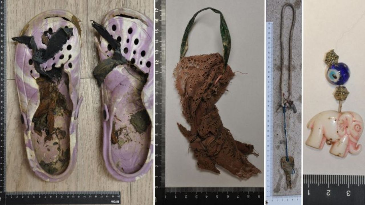 Viyana Yakınlarında Ormanda Bulunan Kadın Cesetinin Kimliği Çözülemiyor