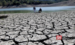 California'da şiddetli kuraklık nedeniyle acil durum ilan edildi: Milyonlarca kişiye eşi görülmemiş su kısıtlamaları