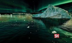 Kuzey ışıkları yeryüzüne indi: Yeni Zelanda'da 'deniz aurora'sı gözlemledi