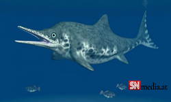 Şili'de 130 milyon yıllık hamile deniz ejderhası fosili bulundu