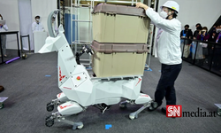 Japonya'da 100 kilogram yük taşıyabilen keçi şeklinde robot tasarlandı