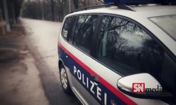 Viyana'daki 3 Farklı Olayda 5 Polis Yaralandı