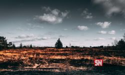 İspanya'daki Orman Yangını Yüzlerce Evin Tahliye Edilmesine Neden Oldu