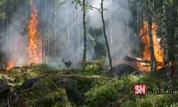 Avusturya'da Orman Yangını Tehlikesi
