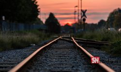 Salzburg’da Trenle Çarpışan Ayı Öldü