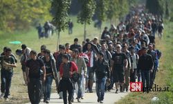 Avusturya’dan sığınma talebinde bulunan 266 Türk’e ret