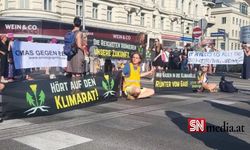 Viyana'da iklim aktivistleri yeniden sokaklara çıktı
