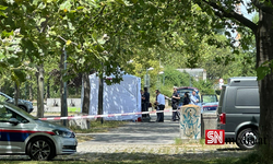 Viyana’da bir kişi parkta ölü bulundu
