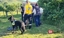 Aşağı Avusturya'daki kayıp kadını kurtarma köpekleri buldu