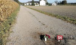 Yukarı Avusturya'da köpek saldırısına uğrayan kadın hayatını kaybetti!