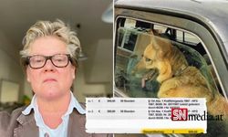 Arabanın önüne oturan köpek için 600 Avro ceza kesildi