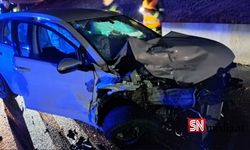 Aşağı Avusturya'da ehliyetsiz sürücü kaza sonrası kayıplara karıştı