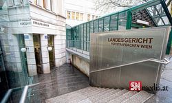 Viyana'da 17 yaşındaki zanlıya ikinci terör davası