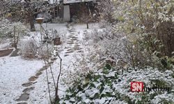 Viyana'da yoğun kar yağışı bekleniyor