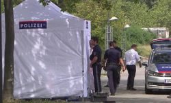 Viyana'daki evsiz cinayetlerini işleyen kişi polise teslim oldu