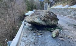 Avusturya'da bir köye kaya düşmesi nedeniyle erişilemiyor