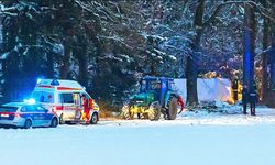 Yukarı Avusturya'da kafasına ağaç düşen ormancı hayatını kaybetti