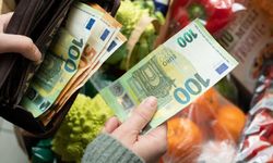 Avusturya’da Ocak ayı enflasyonu yüzde 4,5