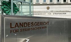 Viyana'da yakın arkadaşına dört el ateş eden gence 1.5 yıl hapis