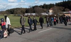 Avusturya'da sığınma başvurularının sayısı düşmeye devam ediyor