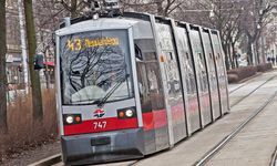 Viyana'da 44 numaralı tramvay hattı tamamen durdurulacak