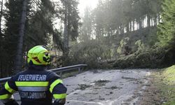 Steiermark'ta fırtına nedeniyle yaşanan kazada bir çift hayatını kaybetti