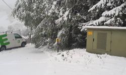 Yoğun kar yağışı nedeniyle Steiermark'ta 3 bin hane elektriksiz kaldı