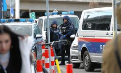 Yukarı Avusturya'da uluslararası operasyon: İki Hintli cinayet zanlısı yakalandı