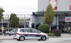 Wiener Neustadt'taki cinayetin şüphelisi Avusturya'ya iade edildi