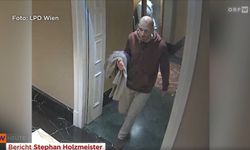 Viyana'daki lüks otelde sanat hırsızlığı: Değerli tablolar çalındı