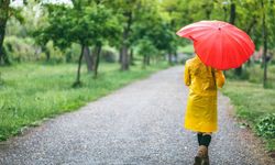 Avusturya'da Hava Durumu: Serin Hava Geri Dönüyor