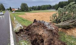 Aşağı Avusturya'da Şiddetli Fırtınalar: İtfaiye Ekipleri Seferber Oldu