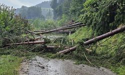 Şiddetli Fırtınalar Steiermark, Karintiya ve Tirol'ü Vurdu