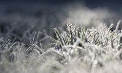 Avusturya'ya Hafta Sonunda Serin Hava Dalgası Geliyor