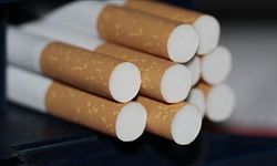 Viyana'da Her Üç Kişiden Biri Sigara İçiyor