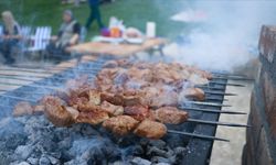 Viyana’da Kuraklık Nedeniyle Kamusal Alanda Barbekülere Yasak Geldi