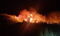 Türkiye Alevlerle Mücadele Ediyor: İzmir ve Çevresinde 5 Mahalle Tahliye Edildi
