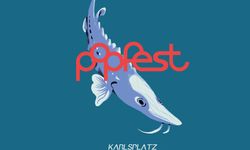 Viyana’da Pop Müziğin Kalbi Yeniden Atıyor: Popfest 2025 Başladı