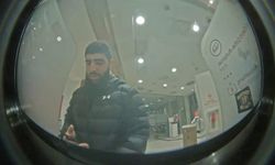 Aşağı Avusturya’daki İlginç Dolandırıcılık İçin İnsan Avı Başlatıldı