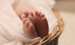 Avusturya’da En Popüler Bebek İsimleri Açıklandı