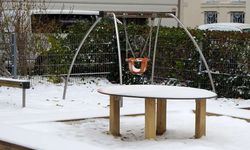 Viyana Beyaza Büründü: 450 Kişilik Ekip Gece Boyunca Çalıştı