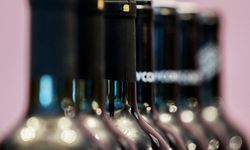 OECD Raporu: Avusturya Sigara ve Alkol Tüketiminde Üst Sıralarda