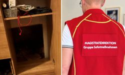 Viyana’da Asya Restoranlarına Geniş Çaplı Baskın: Yedi Tutuklama ve 50’den Fazla Suçlama