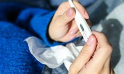 Aşağı Avusturya’da Grip Vakaları Bir Haftada Yüzde 70 Arttı