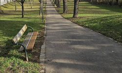 Viyana'da 11 Yaşındaki Çocuk Havai Fişekle Kendini Ağır Şekilde Yaraladı