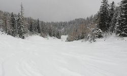 Avusturya’da Kayak Kazası: 14 Yaşındaki Çocuk Hayatını Kaybetti
